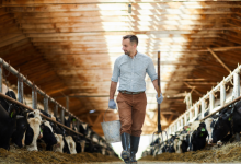 Fábio Jose Gentil Pereira Rosa ressalta o impacto social do programa Tempo de Semear na inclusão produtiva e no desenvolvimento rural.