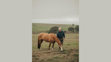 Silos inteligentes representam a nova fronteira do armazenamento agrícola, analisa Aldo Vendramin.