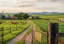 Parajara Moraes Alves Junior